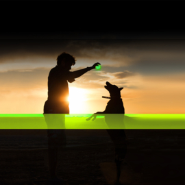Led flash bal 10cm groen