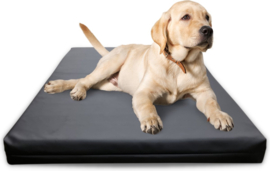 Orthopedisch Hondenbed Leatherlook - Zwart 100 x 75 cm