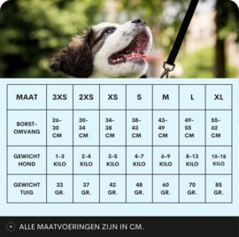 Airmesh Hondentuig - Click & Go - Verstelbaar - Zwart