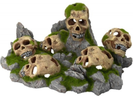 Aqua della skulls world groot