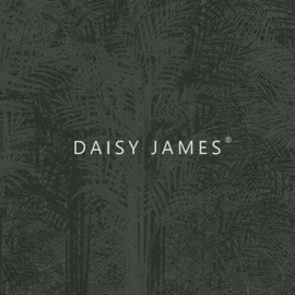 Daisy James THE CARRIBEAN