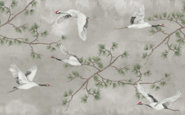MAJESTIC CRANES (4 kleuren)