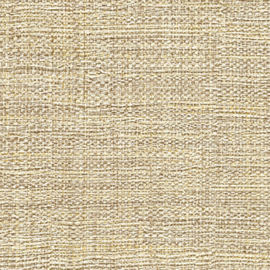 VP 731 16  Madagascar - Pieds nus sur le sable