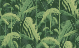 Icons PALM JUNGLE (4 kleuren)