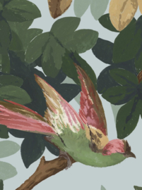 LES OISEAUX (3 kleuren)