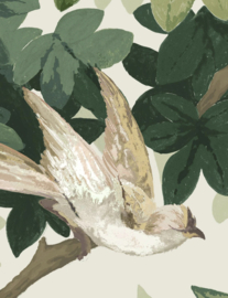 LES OISEAUX (3 kleuren)