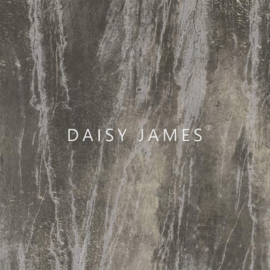 Daisy James THE BROWN STONE