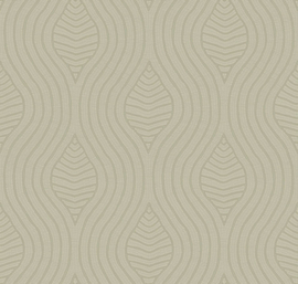 BRODELIA (diverse kleuren)