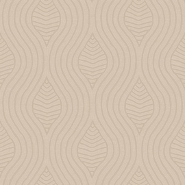 BRODELIA (diverse kleuren)