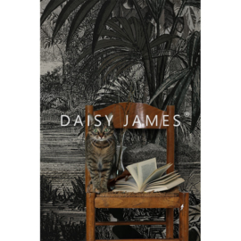 Daisy James THE SHADE Grey