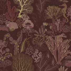 NAUTILUS berry