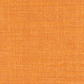 VP 731 37  Madagascar - Sous le vent des manguiers