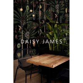 Daisy James THE GARDEN