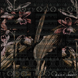 Daisy James THE CARTOUCHE BLACK