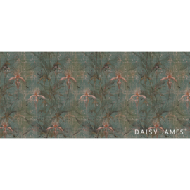 Daisy James THE ORCHID (5 colors)