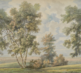 TREE ON A HILL (3 kleuren)