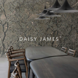 Daisy James THE SONG (2 colors)