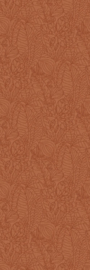 ARGANIA (diverse kleuren)
