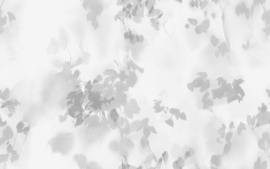 HAZY LEAVES (3 colors)