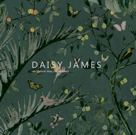 Daisy James THE CANOPY (4 colors)