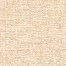 VP 731 50  Madagascar - À peine éclose