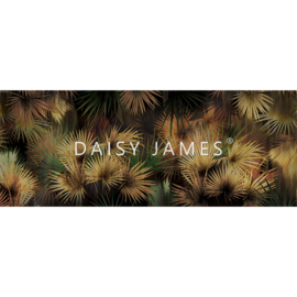 Daisy James THE FOLIA