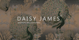 Daisy James THE PAVO