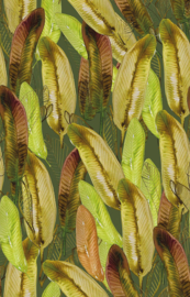 PLATANO