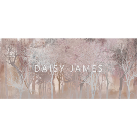 Daisy James THE  SUNSET