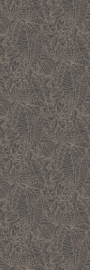 ARGANIA (diverse kleuren)