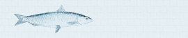 1445 - FISH