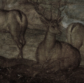 VINTAGE FOREST