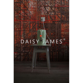 Daisy James THE DEEP