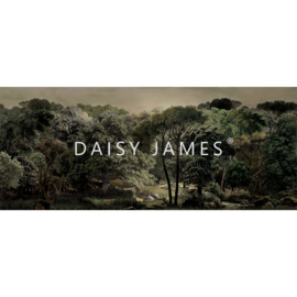 Daisy James THE  BROOK