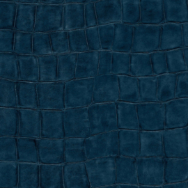 Anguille BIG CROCO