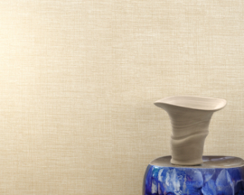 VP 731 43  Madagascar - Reflet du lagon