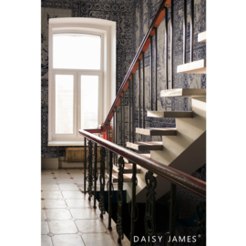 Daisy James THE ALFAMA