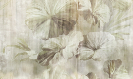 LOTUS STRATUM