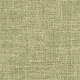 VP 731 61  Madagascar - Le chant des cigales