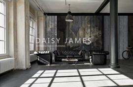 Daisy James THE WOODEN FACE