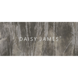 Daisy James THE BROWN STONE