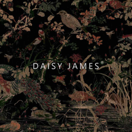 Daisy James THE WATERFRONT black