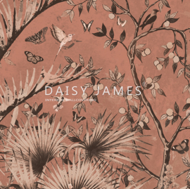 Daisy James THE CANOPY (4 colors)