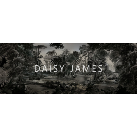 Daisy James THE SHADE Grey