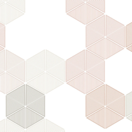 HEXAGON (4 colors)