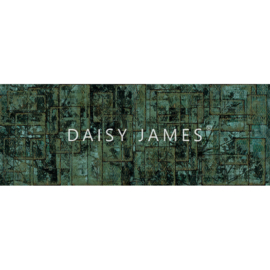 Daisy James THE JADE