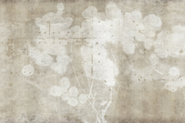 Glamora LUNARIA