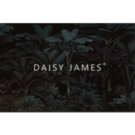 Daisy James THE BLACK PARC