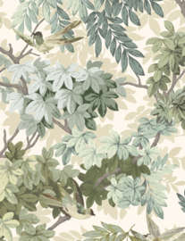 LES OISEAUX (3 kleuren)