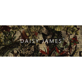 Daisy James THE ICON